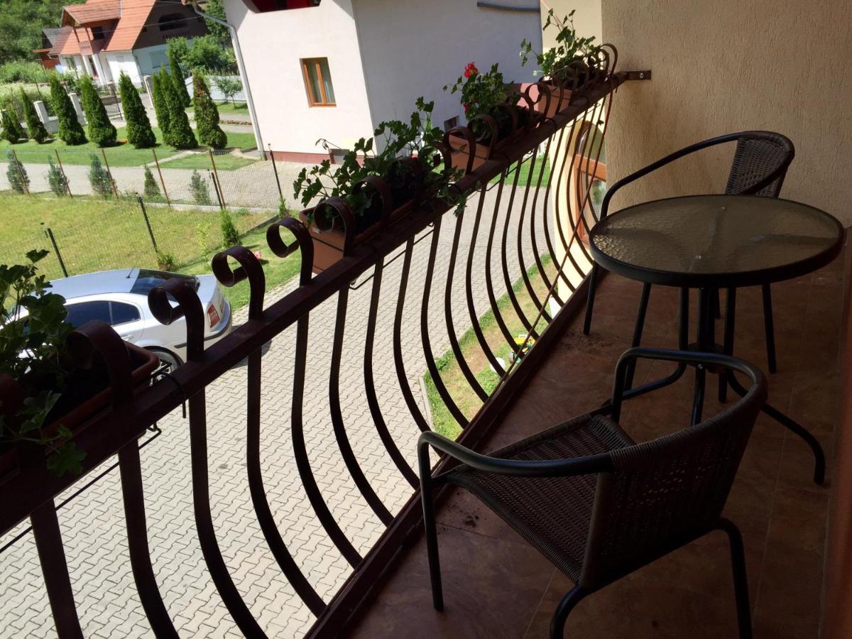 Pensiunea Silva Dobra - B&B