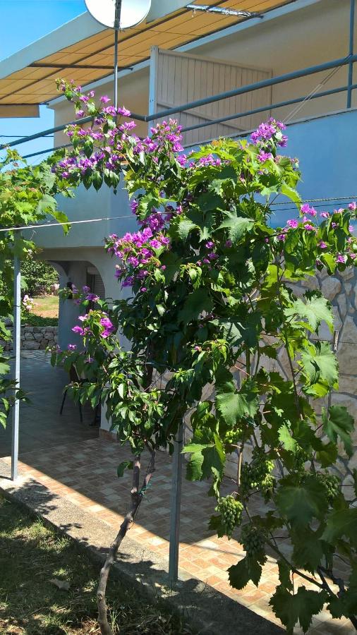 Apartments Krušvina - B&B