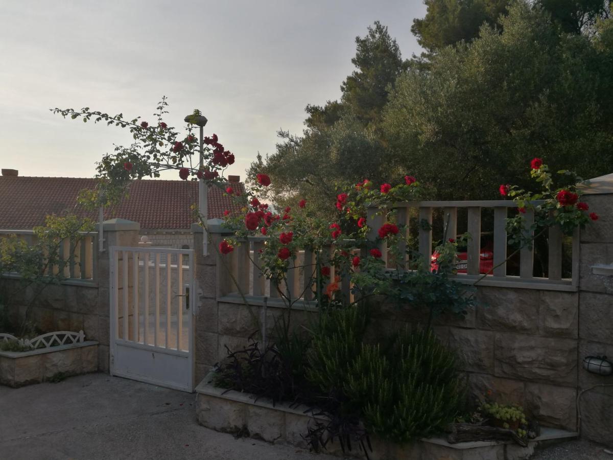 Villa Radovic - B&B Ragusa Vecchia