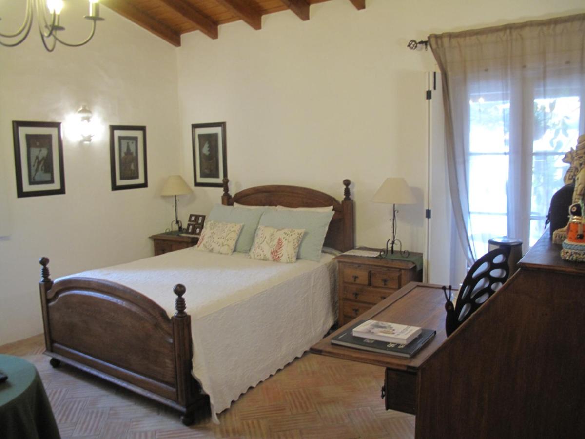 Suite Standard