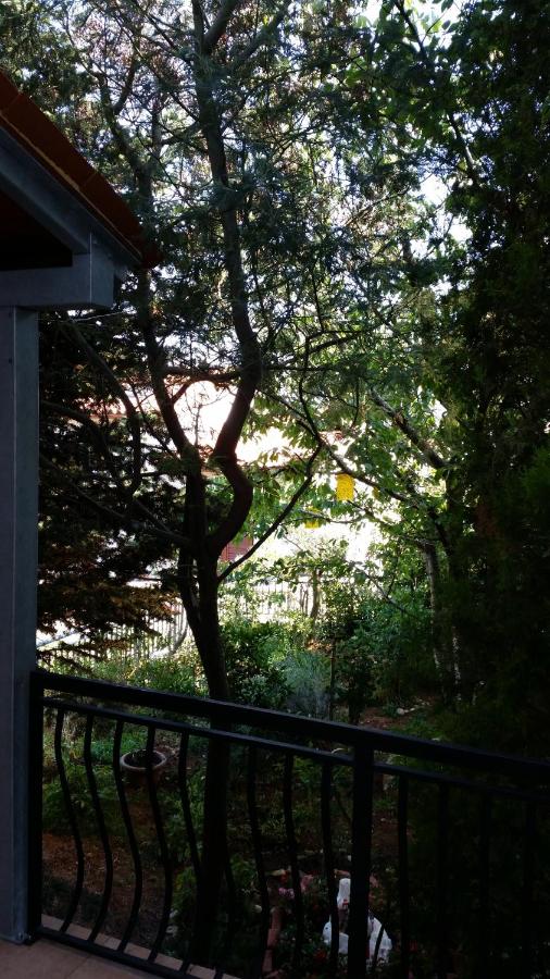 Apartments Danka - Bed and Breakfast