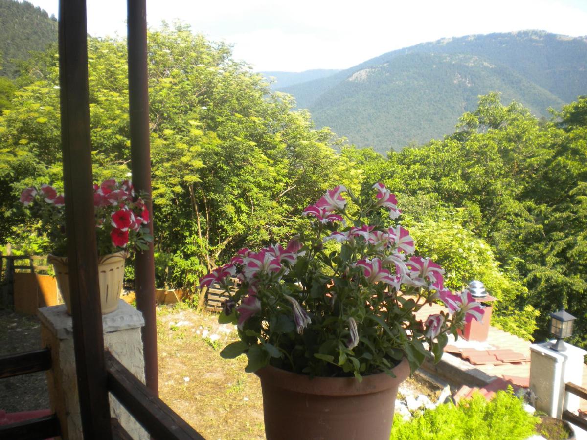 Chambre Familiale - Vue sur Montagne