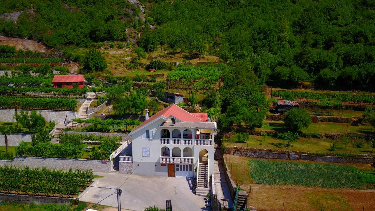 Country House Djurisic - Ferienwohnung