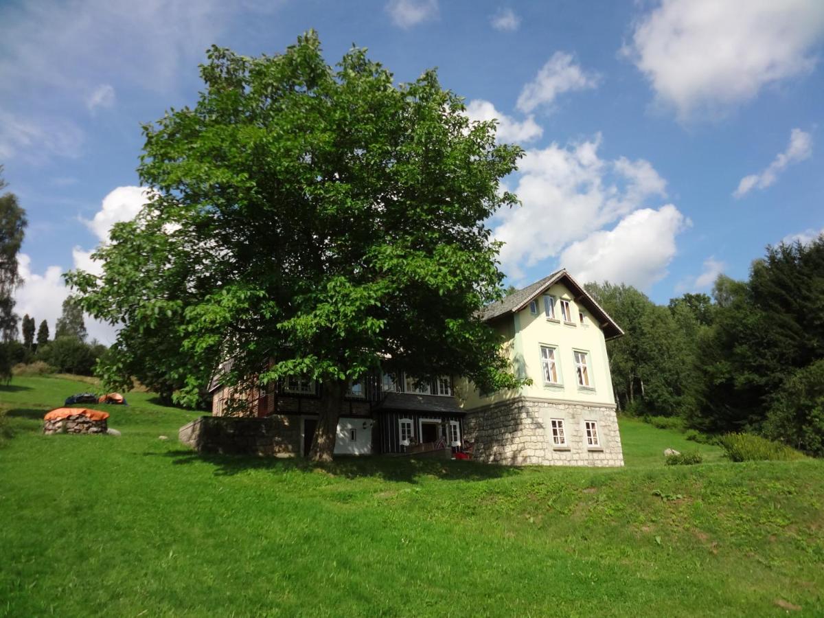 Großes Familienapartment mit Terrasse 