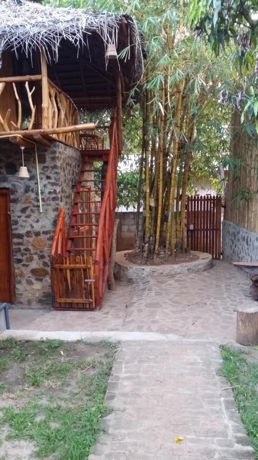 Lizard Safari Lodge - B&B