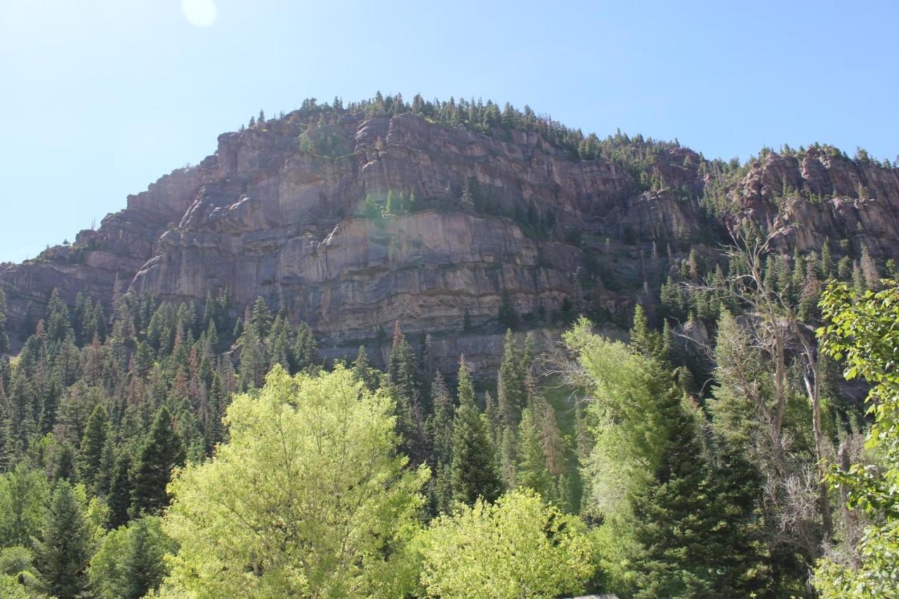 Camera King con Vista Montagne