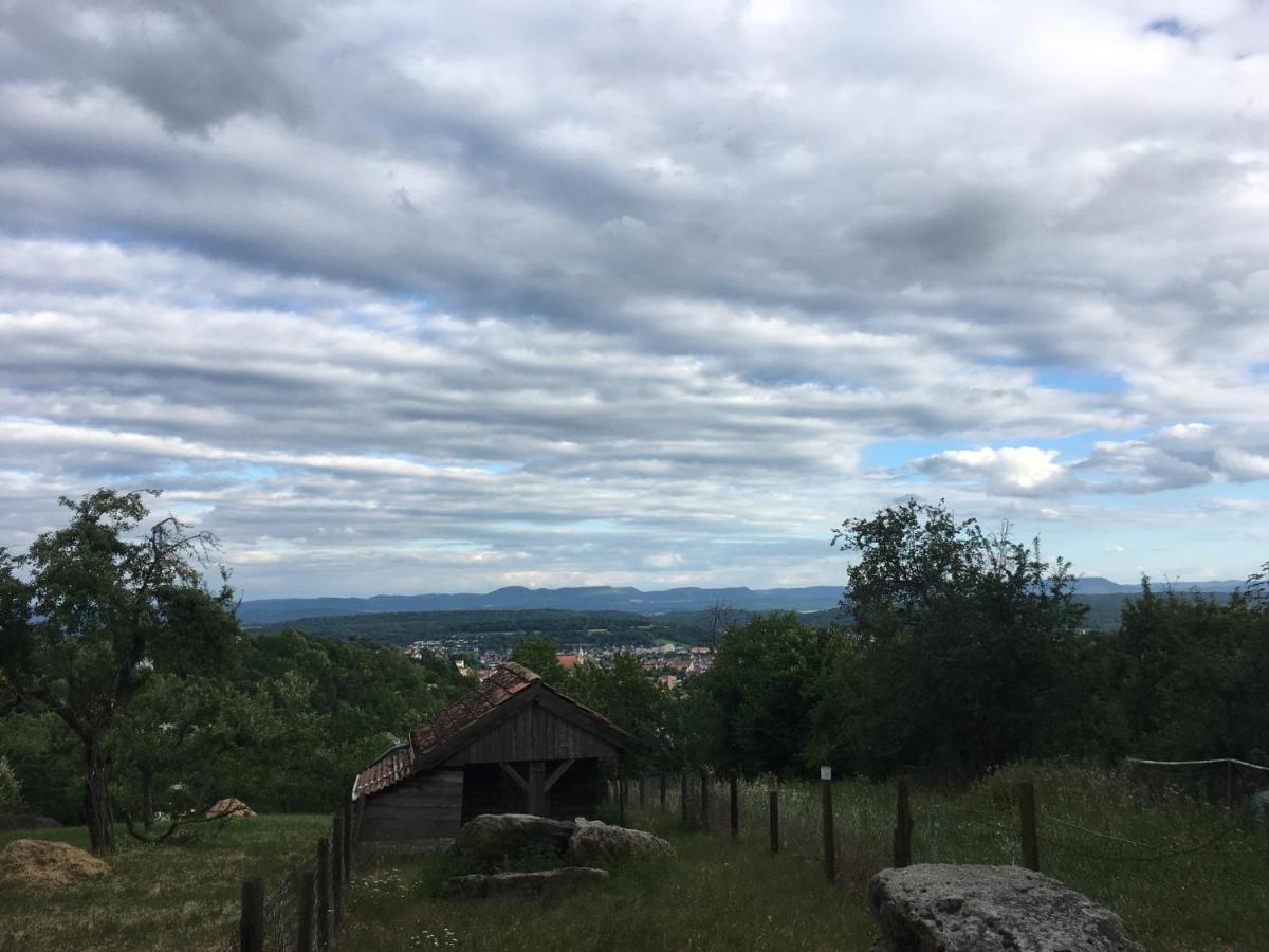 Ruhige Wohnung in zentraler Lage Tübingens - B&B