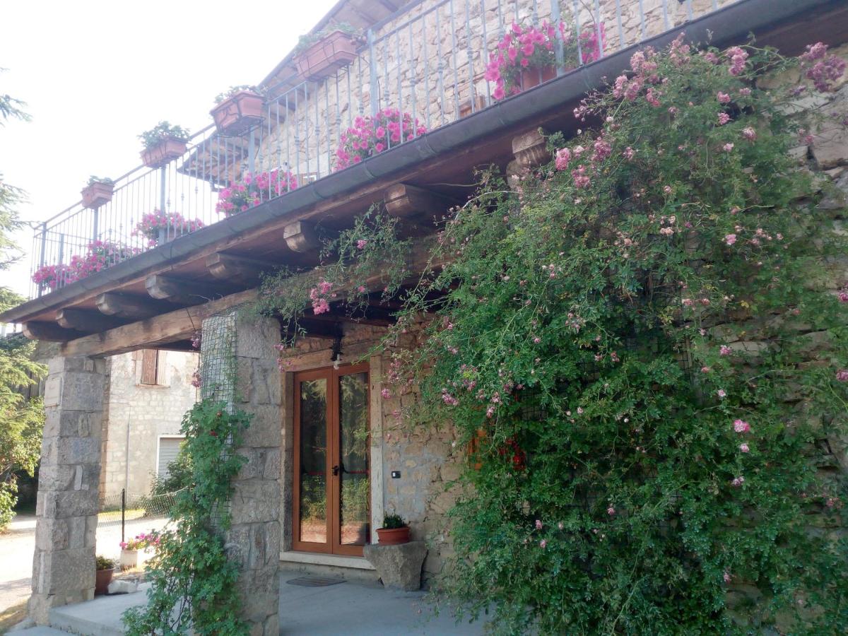 B&B Casale Giovannozzi - Ferienwohnung