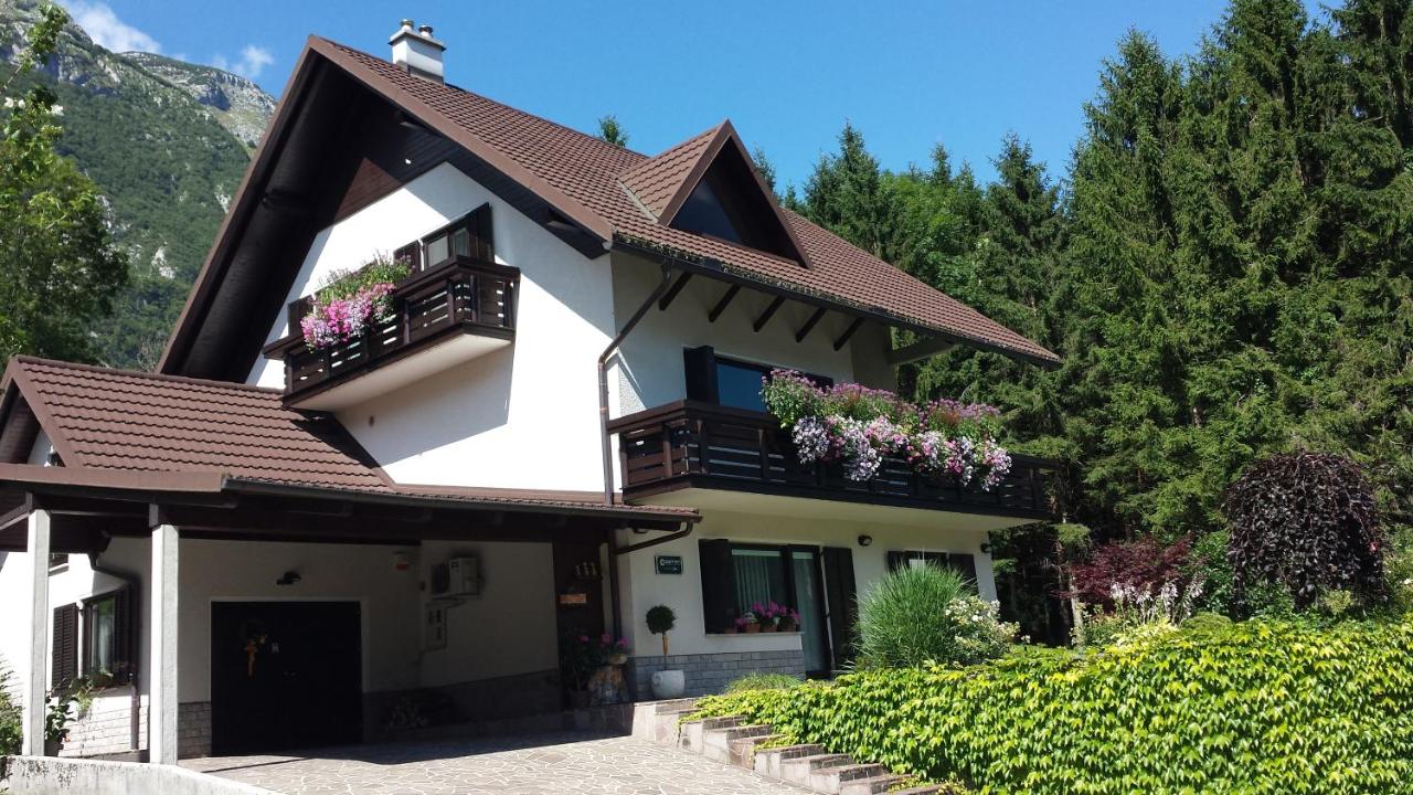 Homestay Ostan - B&B Bovec