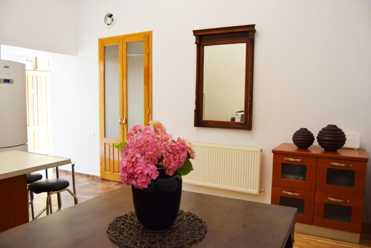 B&B Cluj-Napoca - Contessa Central Apartment - Bed and Breakfast Cluj-Napoca