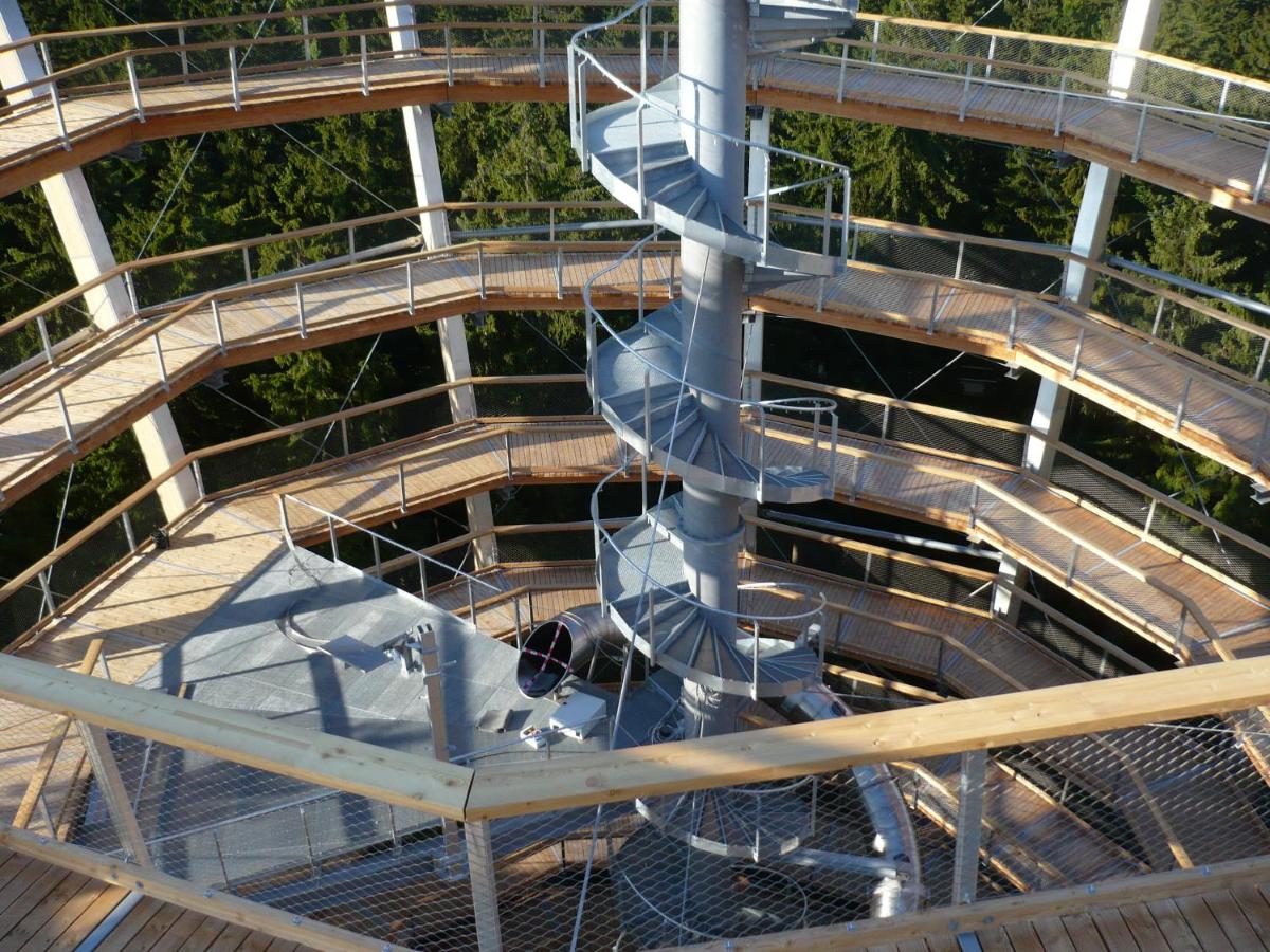 Apartmán Zlatá Vyhlídka - B&B Janske Lazne