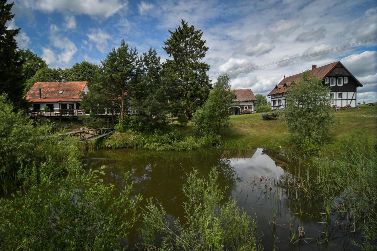 Pod Bocianim Gniazdem - B&B