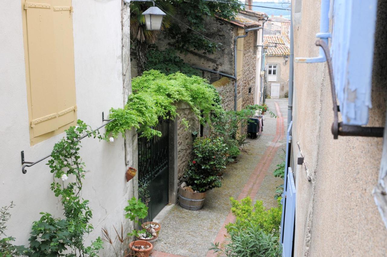 Maison Rives - Village du Livre de Montolieu - Chambres d’hôtes