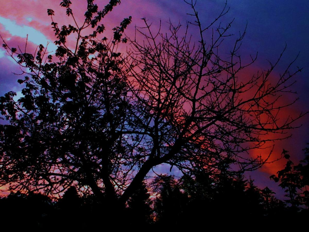 Monolocale (2 Adulti)