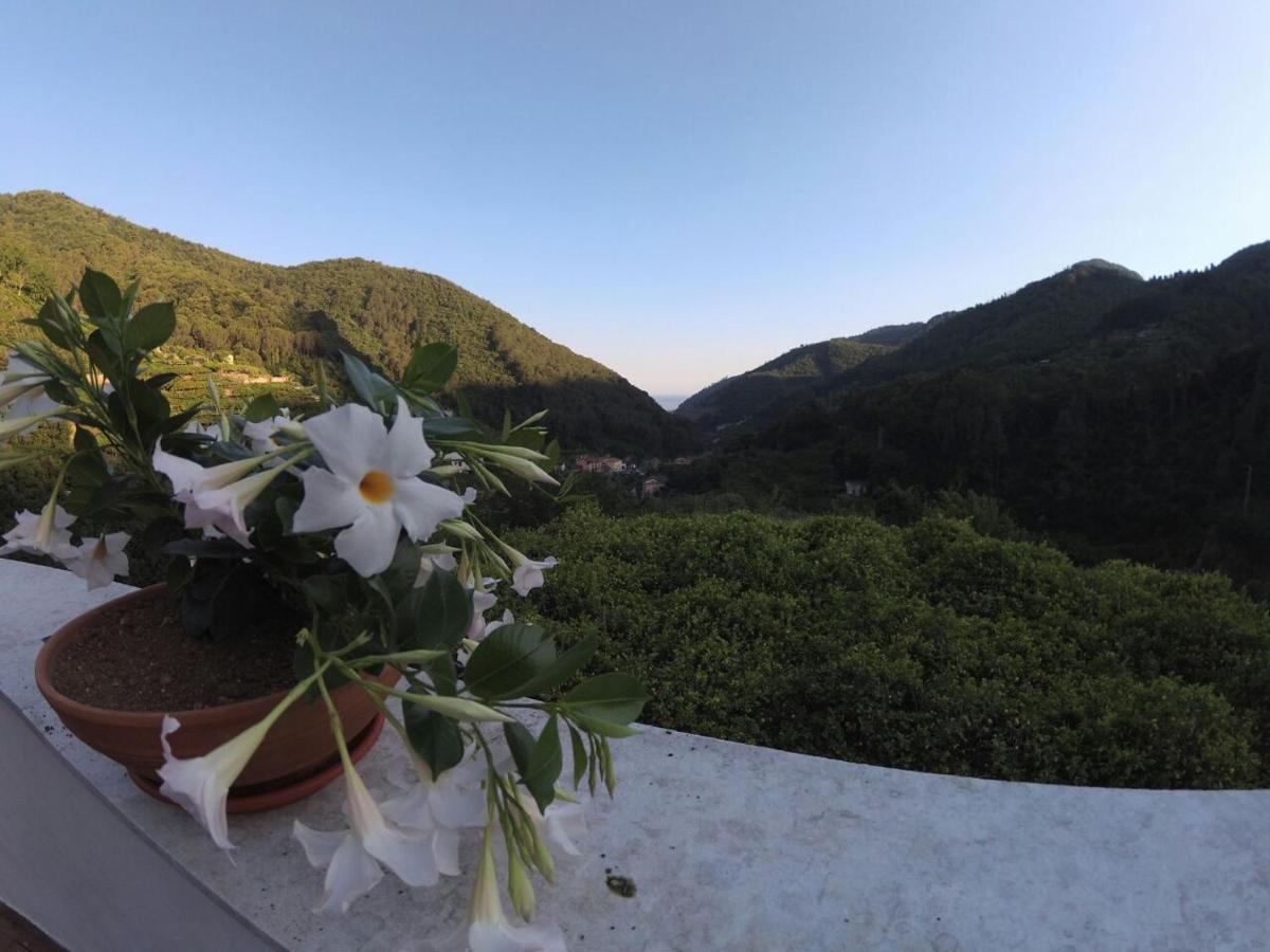B&B Bouganville - B&B Tramonti