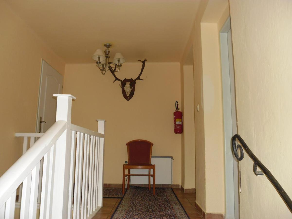 Villa Meteor - Ferienwohnung