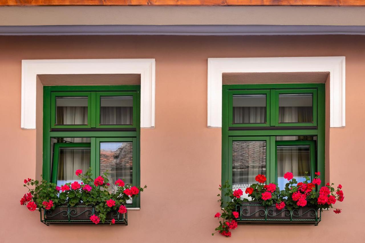 Doppelzimmer mit Küchenzeile (Tulipe)