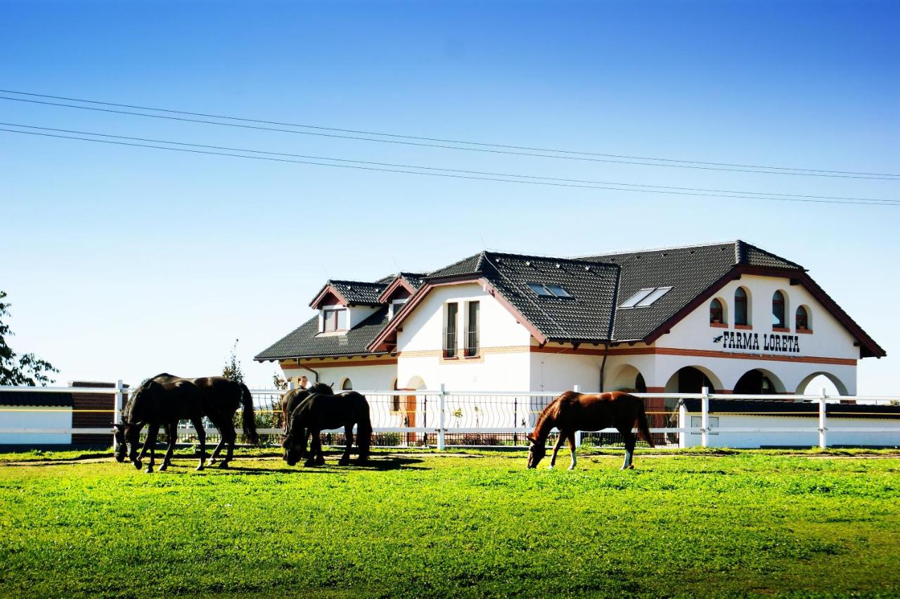 Farma Loreta - B&B Vlašim