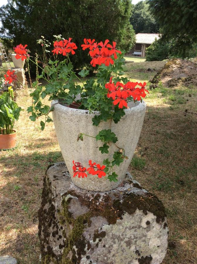 Agriturismo Il Morello - B&B
