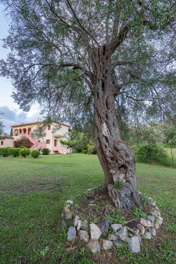 Green Corner Villas - Bed and Breakfast