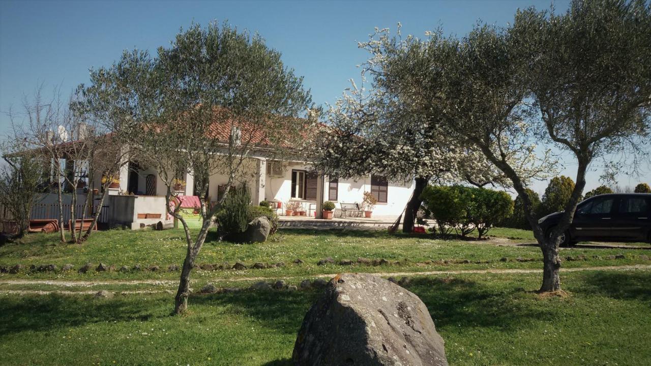 B&B Monterosi - La Nepitella - Bed and Breakfast Monterosi