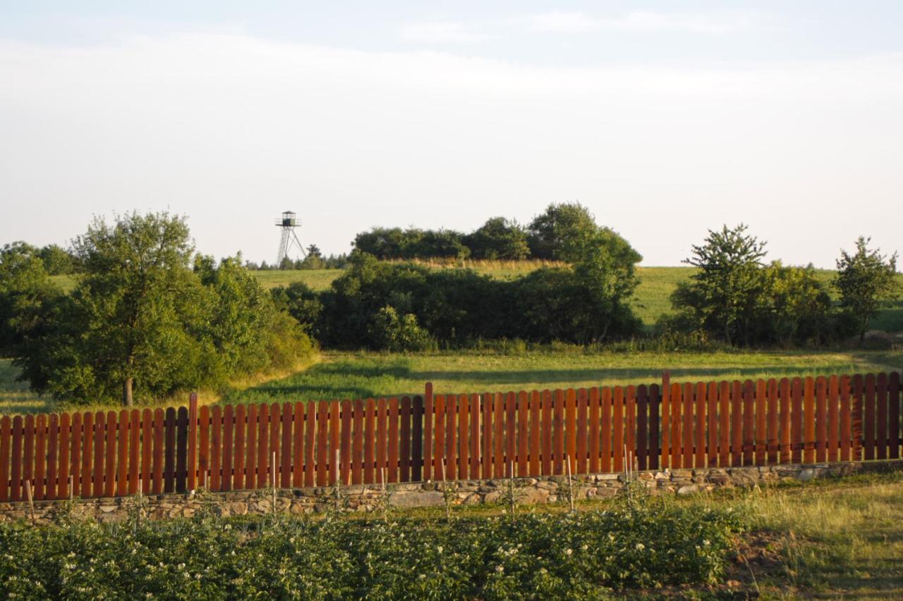 Appartement - Vue sur Jardin