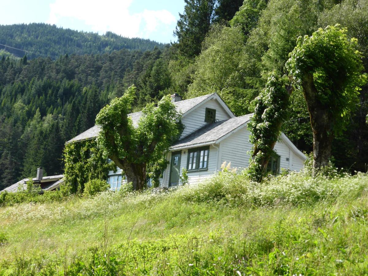 B&B Bolstadøyri - Rongen gard - Bed and Breakfast Bolstadøyri