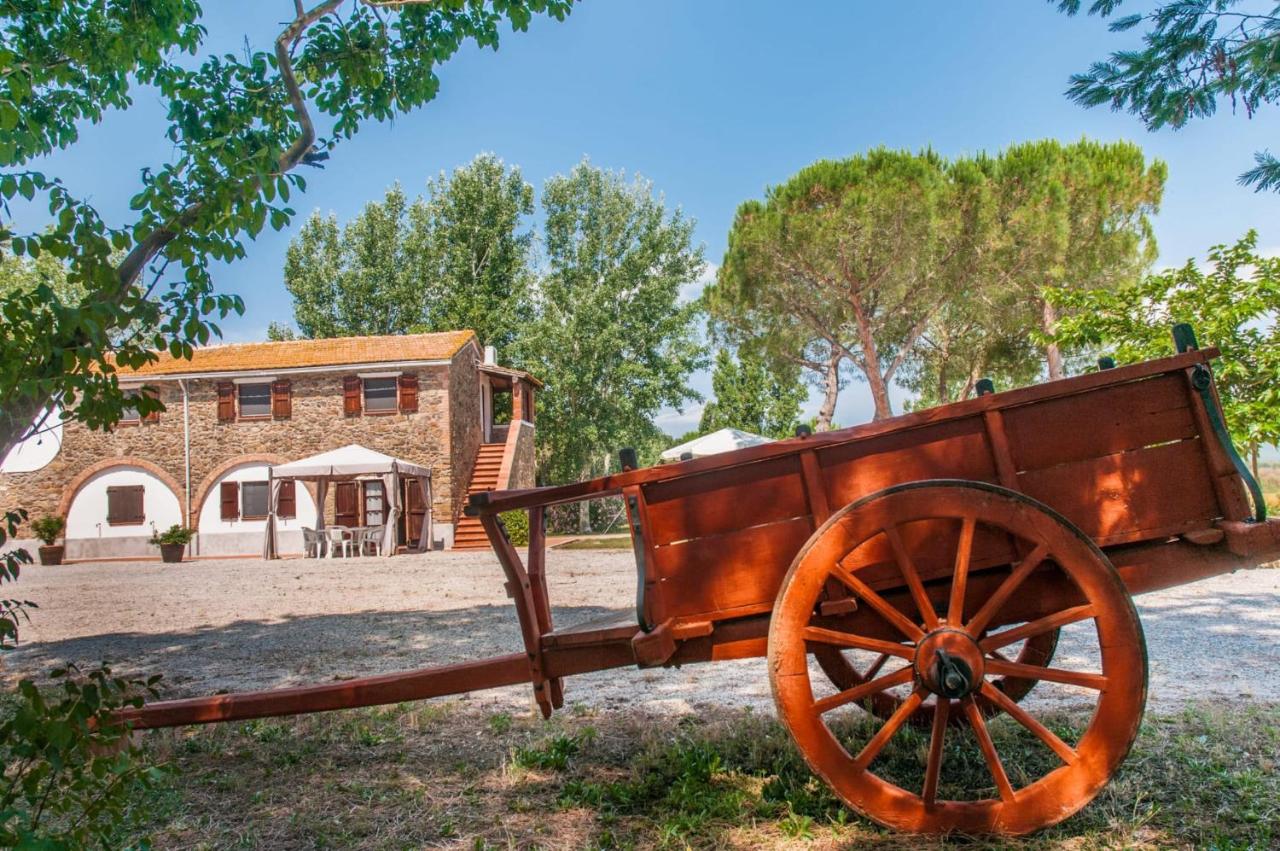 B&B Scarlino - Podere i Giganti - Bed and Breakfast Scarlino