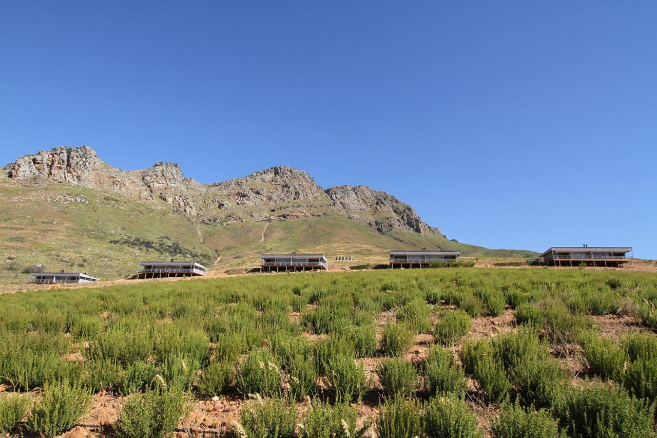 Big Sky Cottages - B&B Wolseley