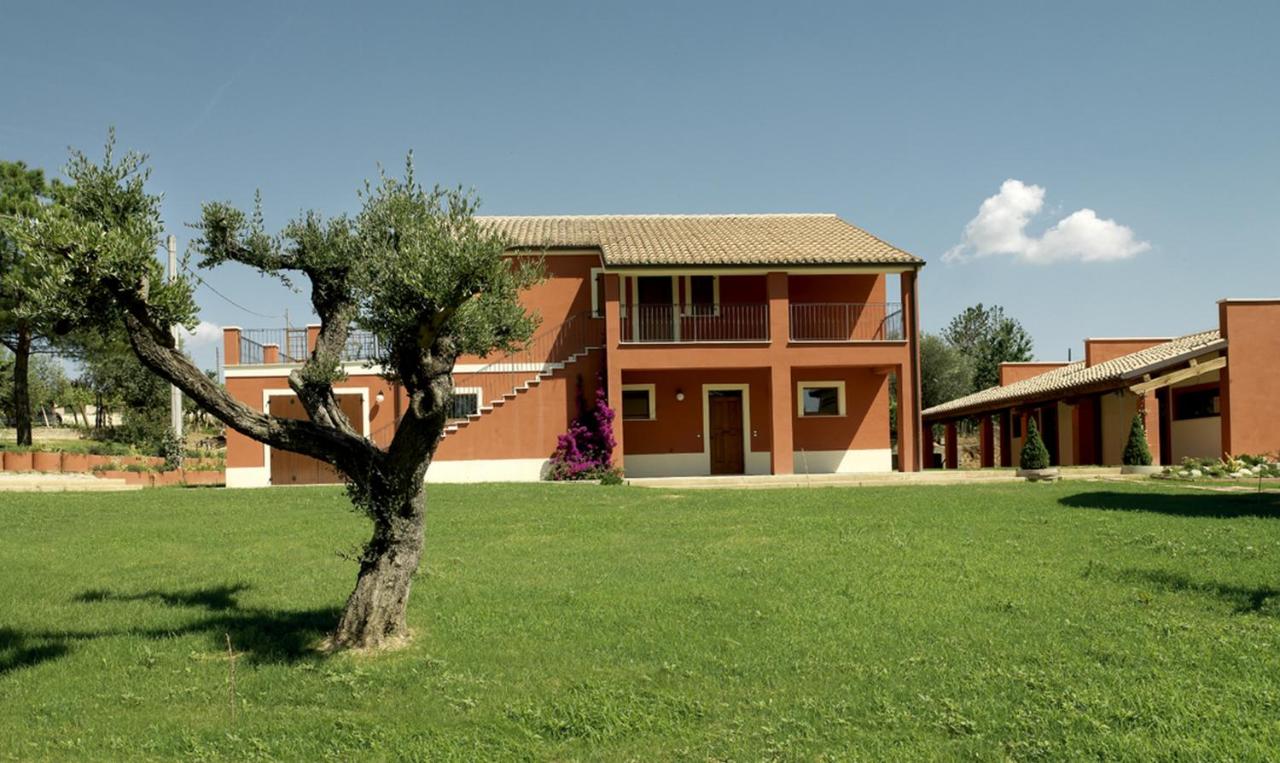 B&B Castilenti - Contado San Lorenzo B&B and Wine - Bed and Breakfast Castilenti