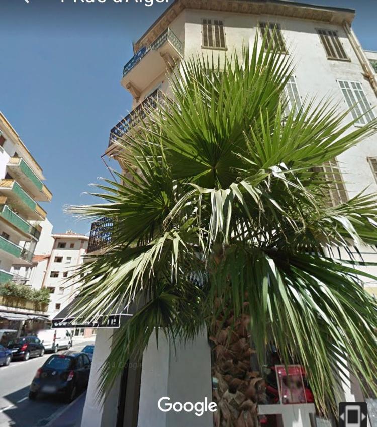 Ice coeur de Cannes - Ferienwohnung