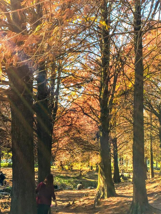 Deluxe Kamer met Queensize Bed 