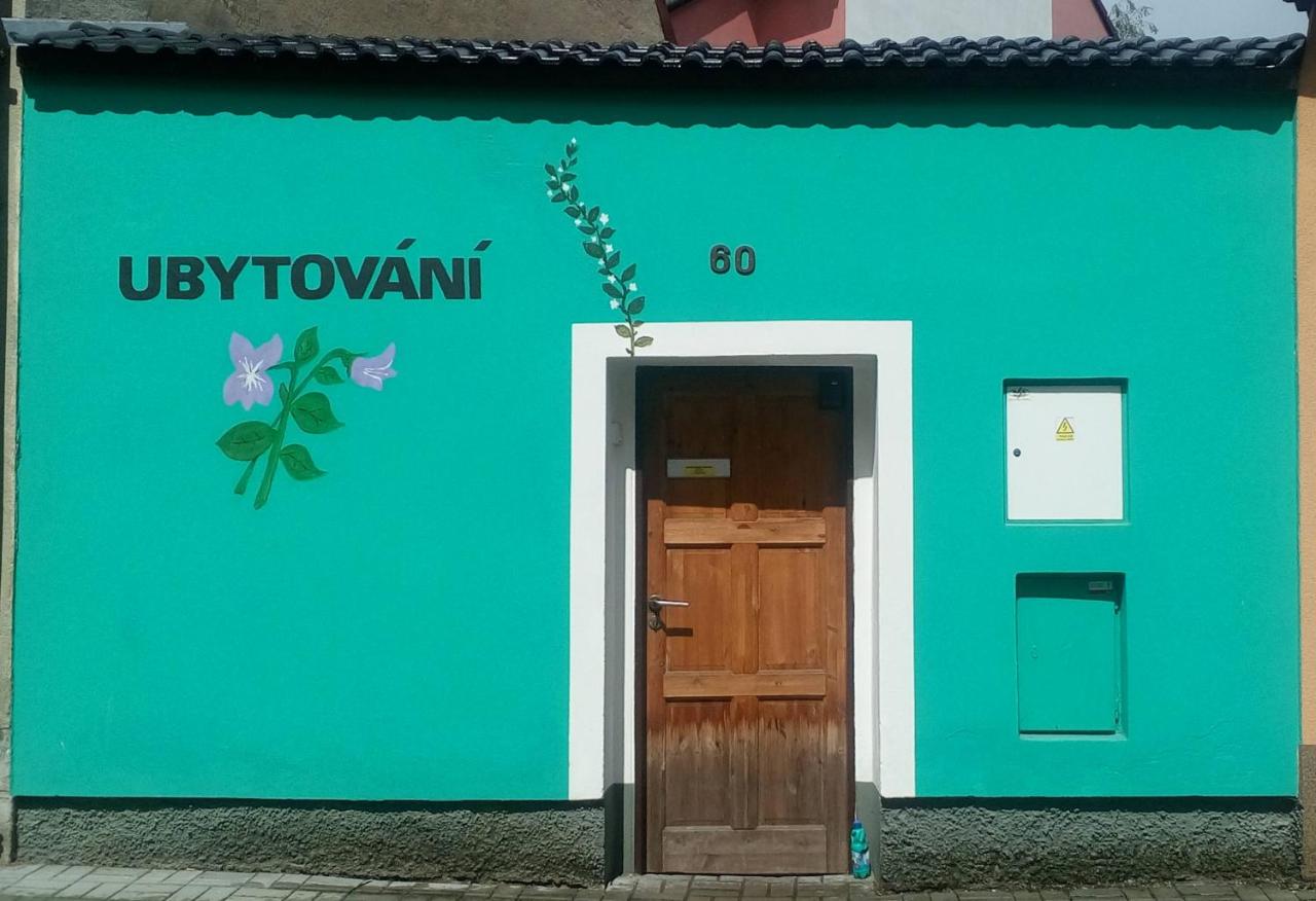 Apartmány Fialka - B&B Třeboň
