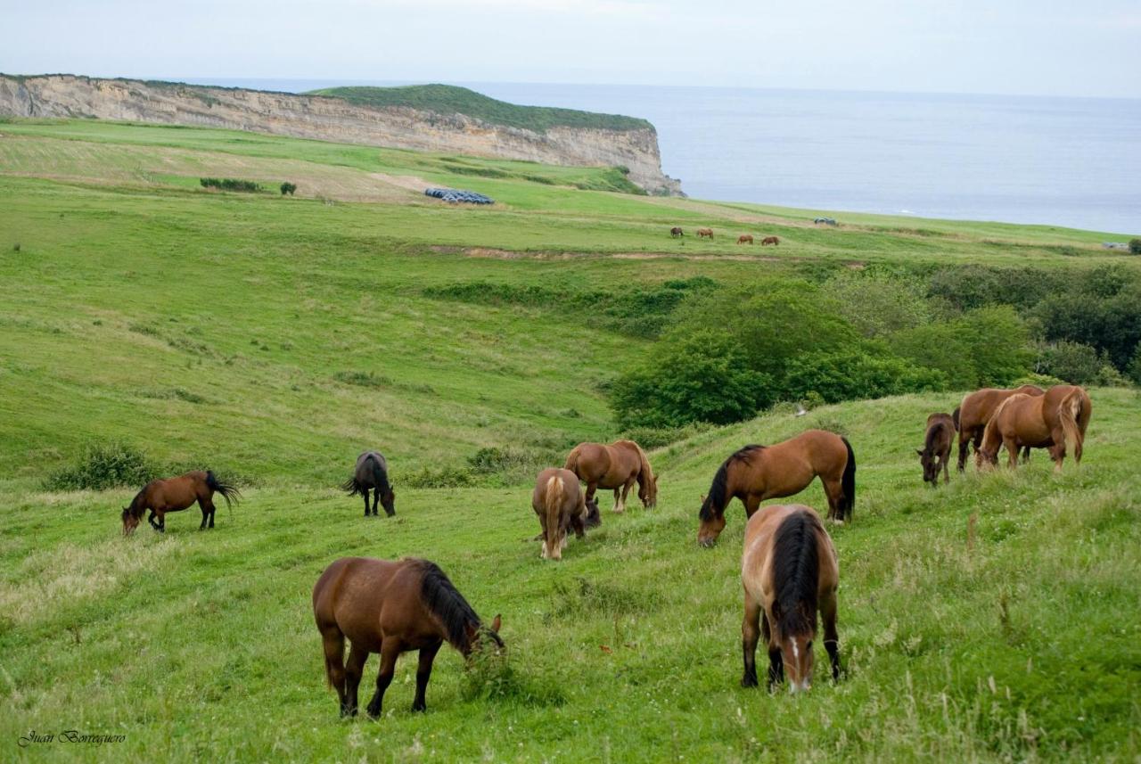 B&B Suances - Posada Punta Ballota - Bed and Breakfast Suances