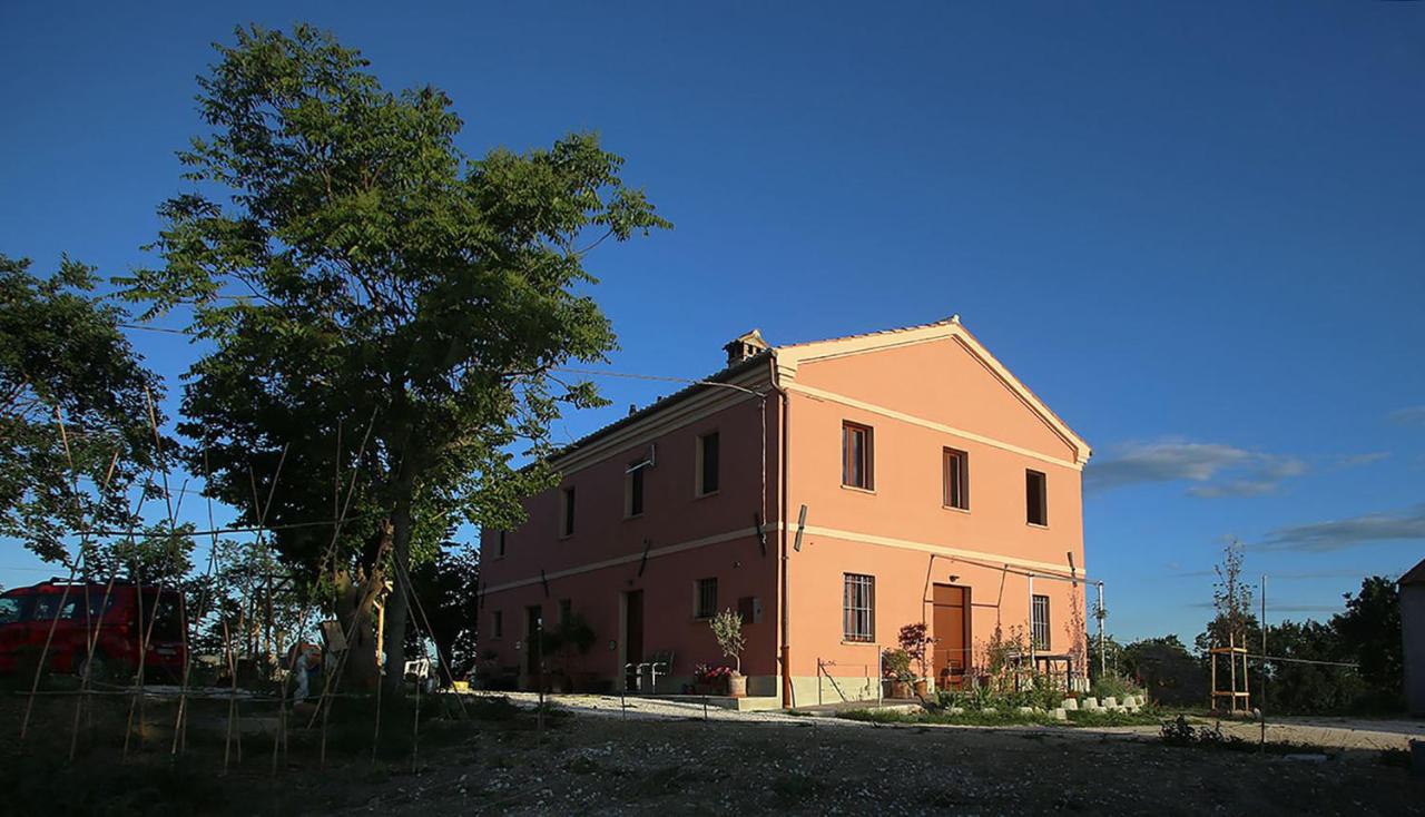 B&B Serra de'Conti - quindici alberi - Bed and Breakfast Serra de'Conti