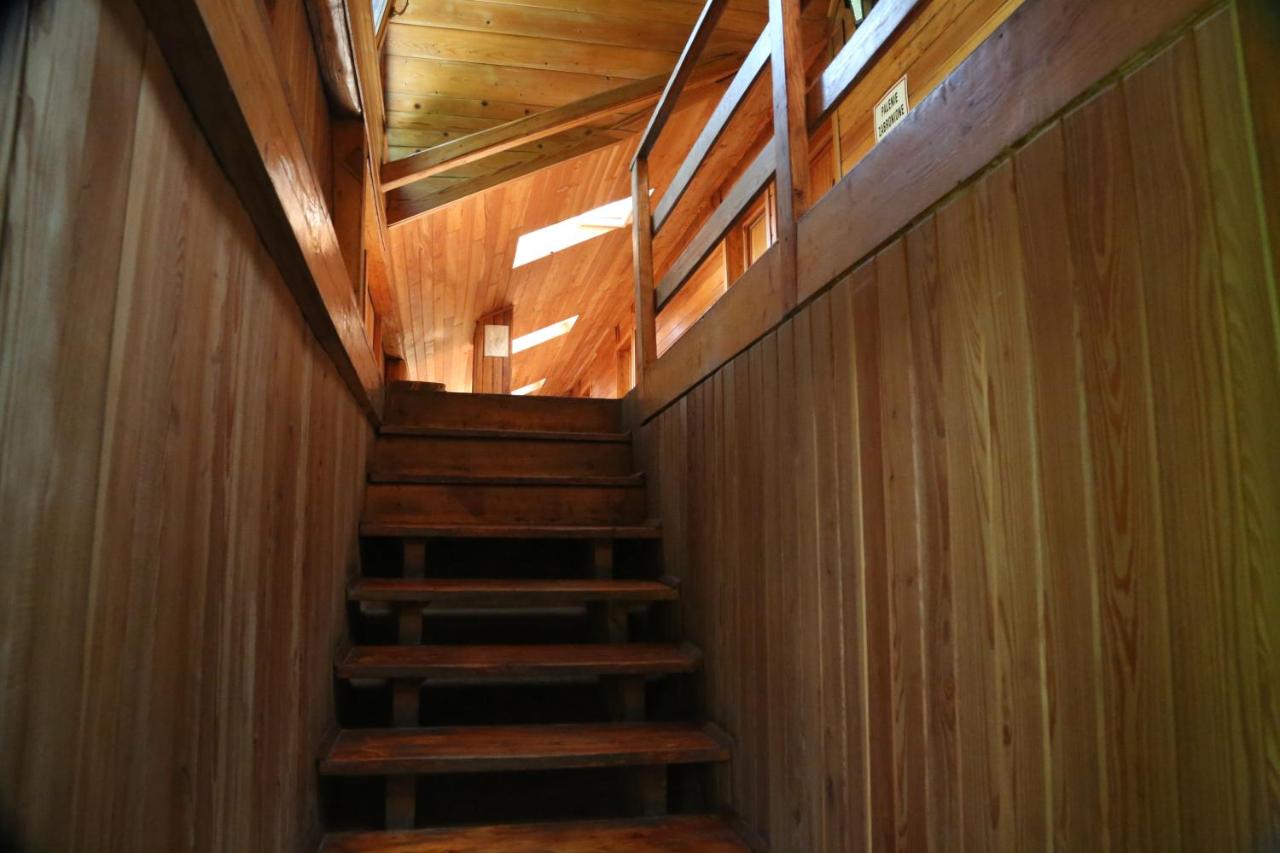 Gospodarstwo Agroturystyczne Stary Młyn Wilczkowice - B&B Michałowice