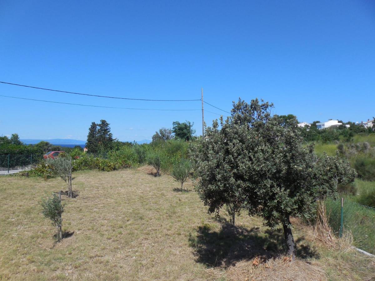 Appartement - Begane Grond