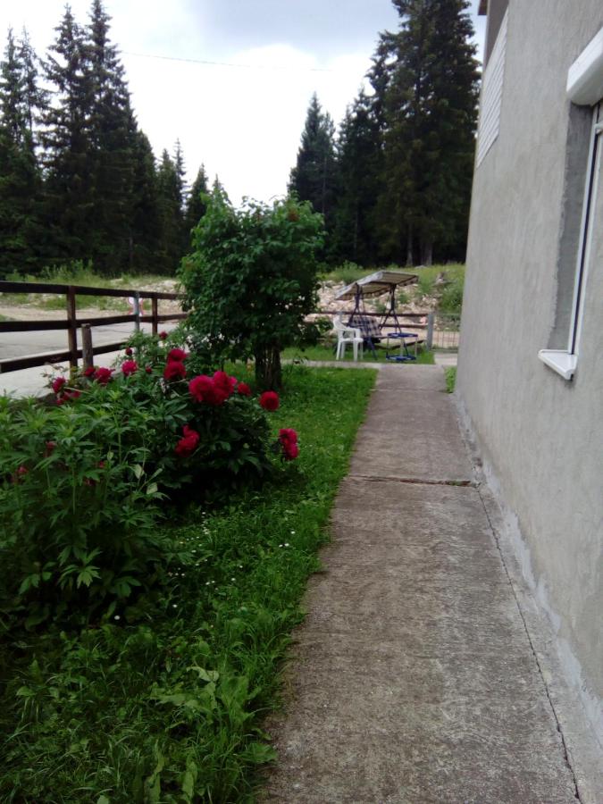 Guesthouse Andrea A - B&B