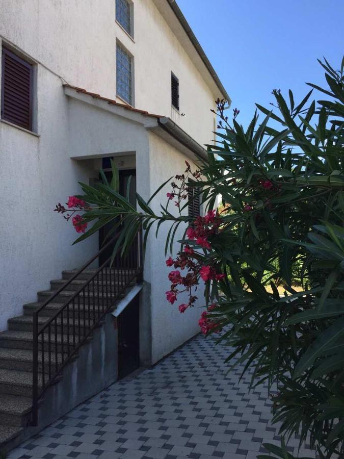 Apartment Luna - B&B