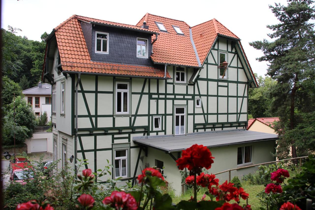 B&B Wernigerode - Pension Ginko - Bed and Breakfast Wernigerode