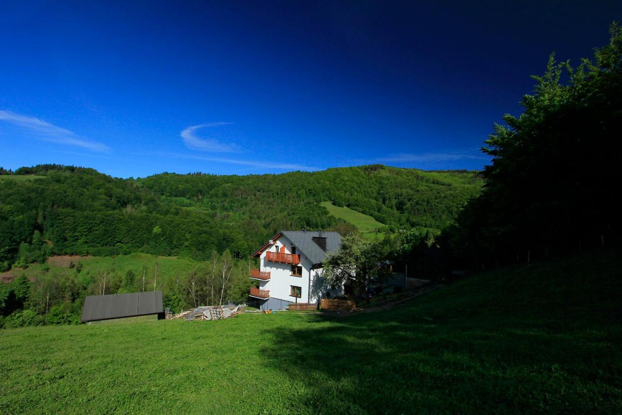 Willa Pod Bukami - Chambres d’hôtes Wisła