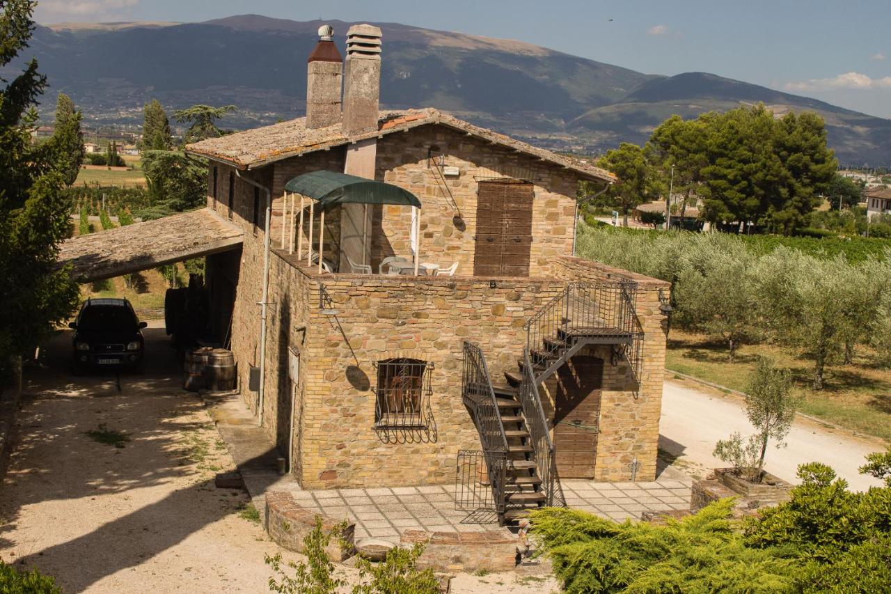 B&B Limigiano - Country House Carmelita - Bed and Breakfast Limigiano