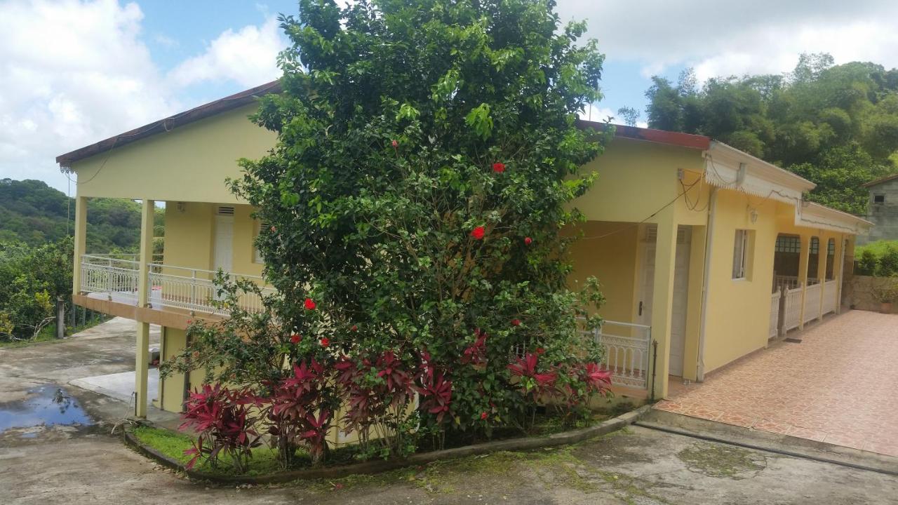 L'Oliveraie - B&B Saint-Joseph