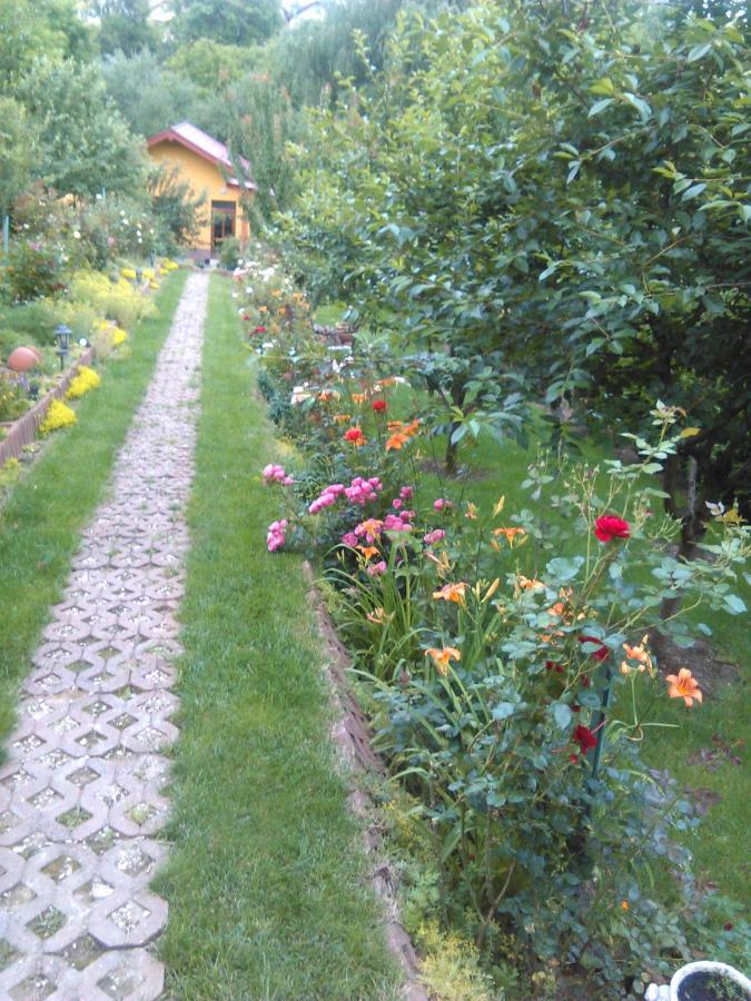 Pensiunea Lucia Ana - B&B