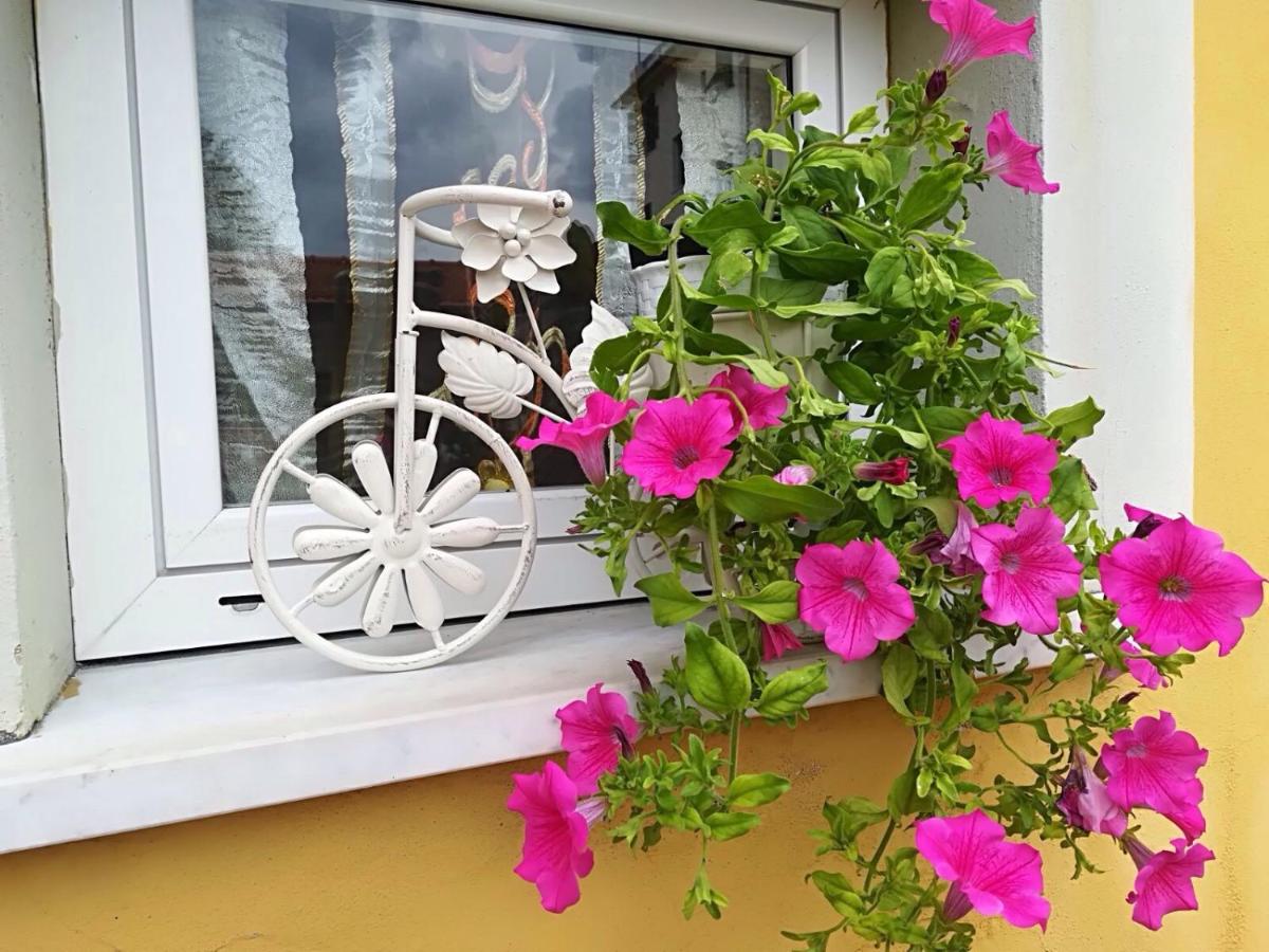 Locanda del Golfo - Ferienwohnung