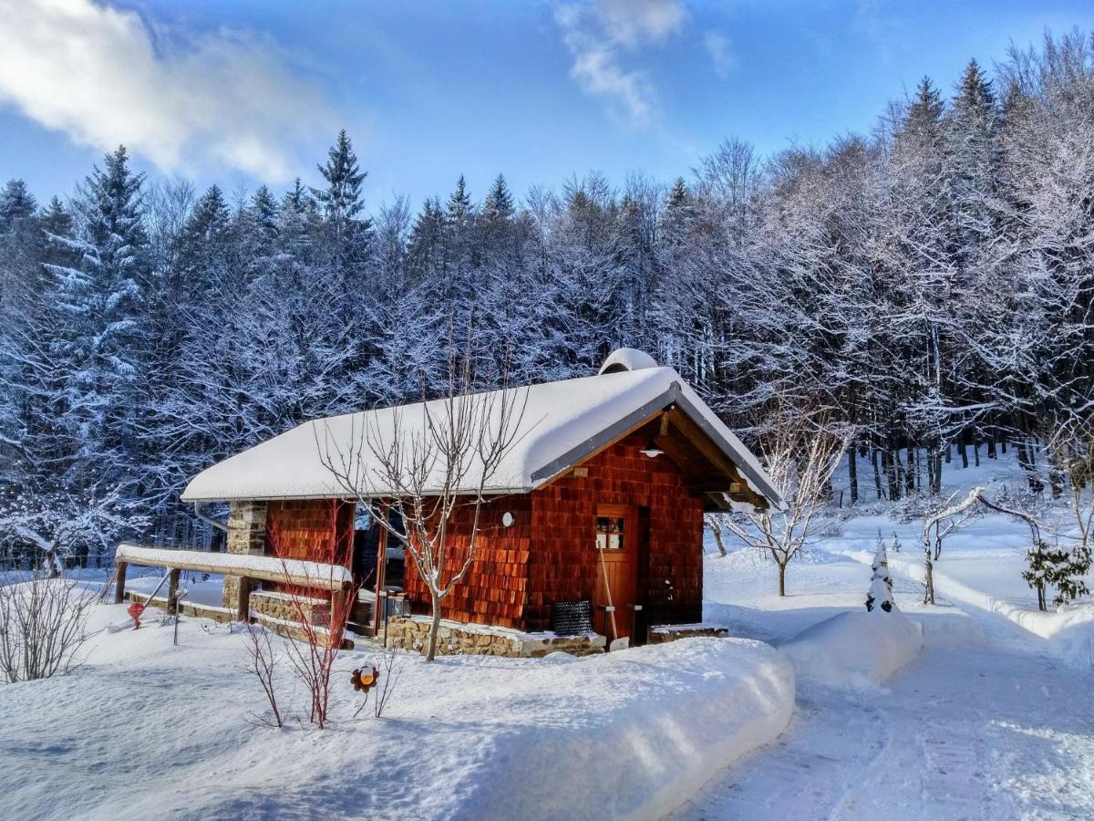 Haus Jägerfleck, Ihre Ferienwohnungen am Nationalpark Bayerischer Wald - Ferienwohnung Spiegelau