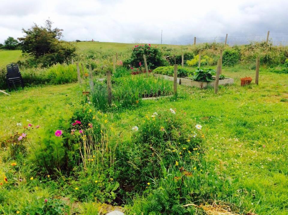 Holland House - B&B Ballyshannon