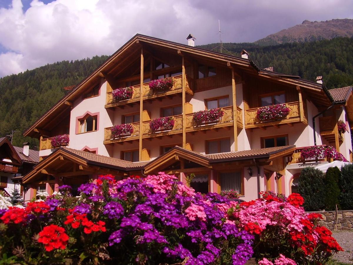 B&B Cogolo - Active Hotel Gran Zebru' - Bed and Breakfast Cogolo