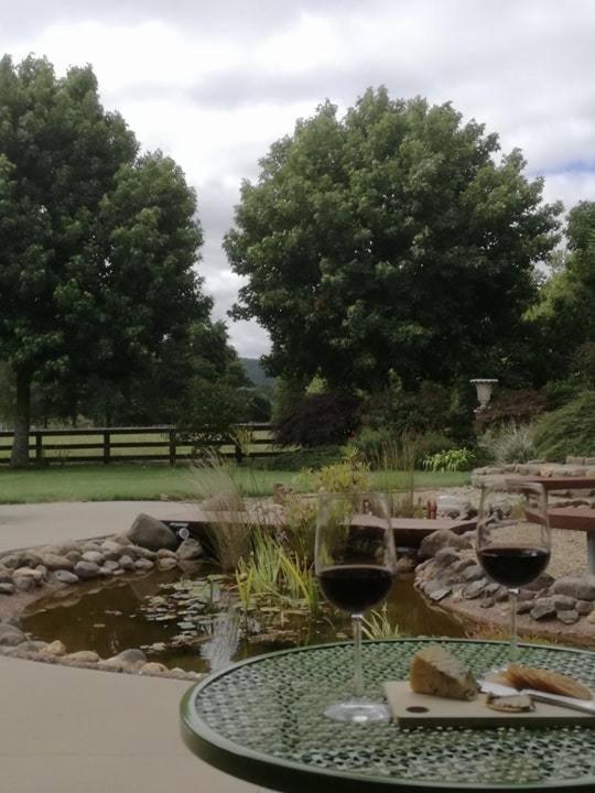 Camera Queen Superior