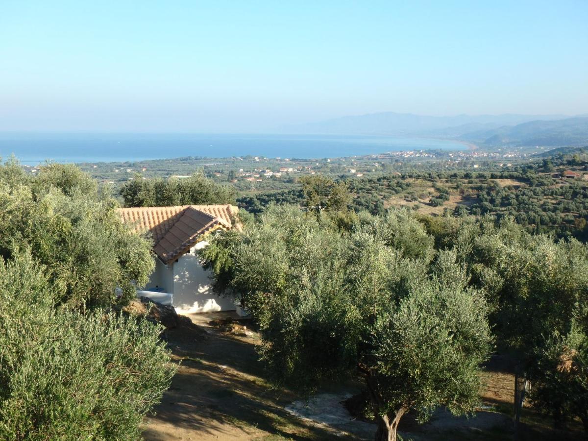 B&B Kyparissía - Ferienhaus Olive Garden - Bed and Breakfast Kyparissía